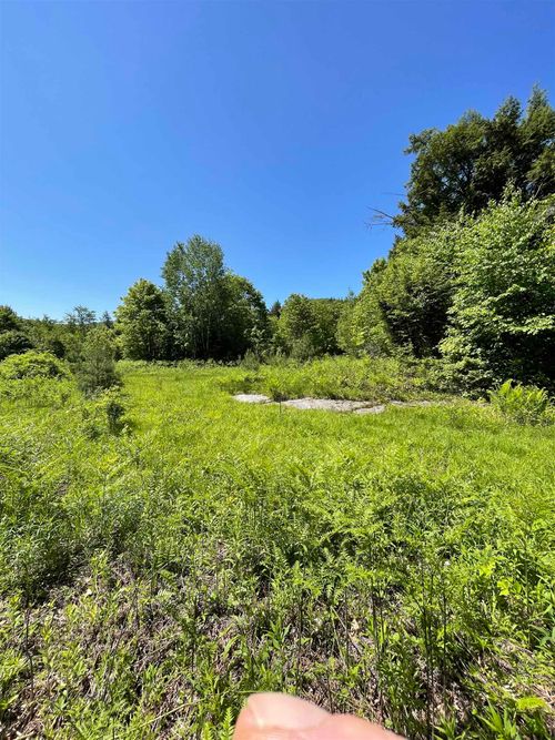 * Alder Plains Rd, Bradford, NH, 03221 | Card Image