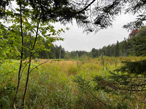 1625 Vt Route 9 W, Searsburg, VT, 05363-9685 | Card Image