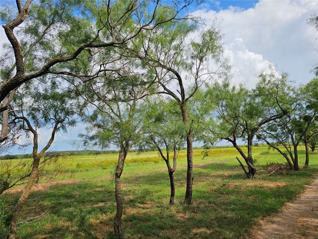 View of yard with a rural view | Image 27