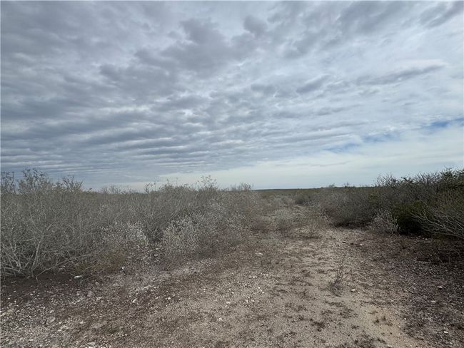 9156 Tx 339, Home with 0 bedrooms, 0 bathrooms and null parking in Freer TX | Image 8