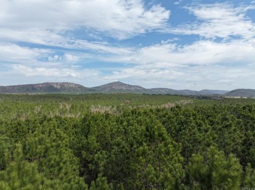 XXX J Dunson Rd, Langley, AR, 71952 | Card Image