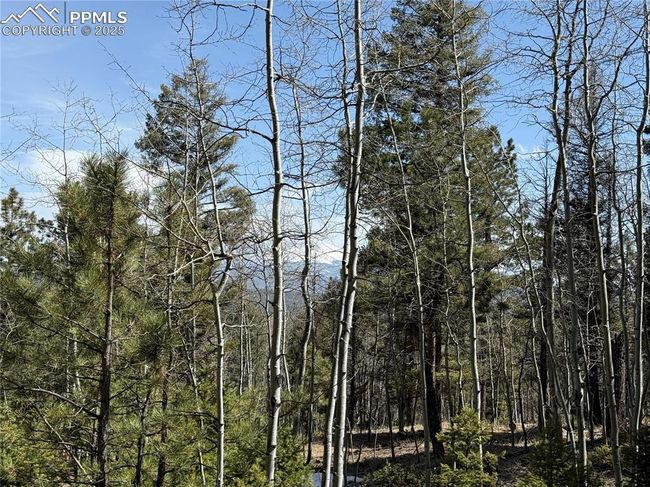 242 Apache Creek Dr, Home with 0 bedrooms, 0 bathrooms and null parking in FLORISSANT CO | Image 12