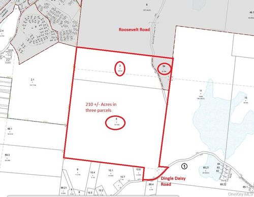 174 Dingle Daisy Rd, Monticello, NY, 12701-4731 | Card Image