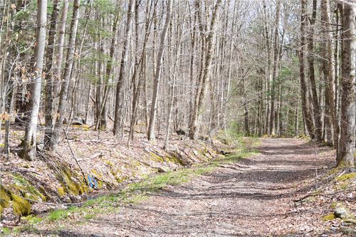 11 Carpino Road, Andes, NY, 13731 | Card Image