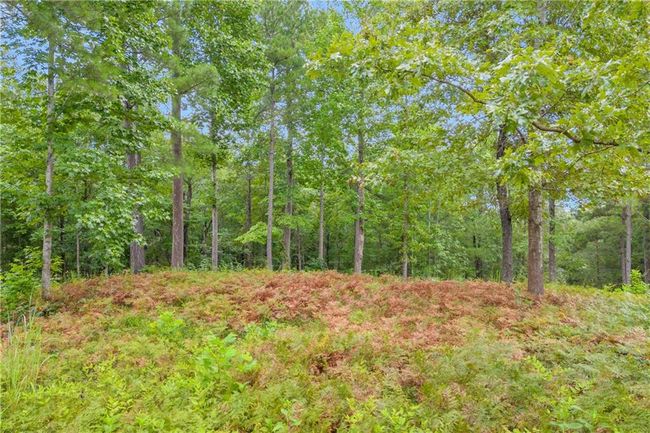 0 Currahee Club Dr, Home with 0 bedrooms, 0 bathrooms and null parking in Toccoa GA | Image 17