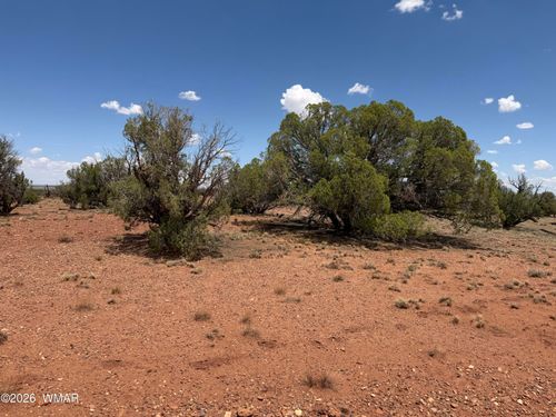 20 N9160, Concho, AZ, 85924-1338 | Card Image