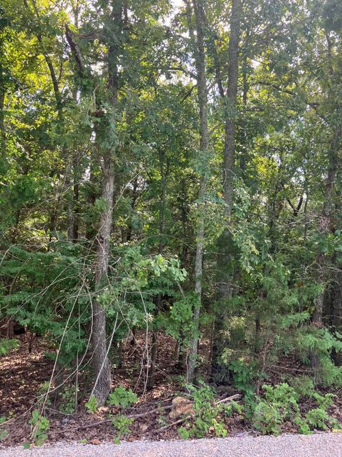 Lots 95 &amp; 96 Larkspur Lane, Mountain Home, AR, 72653 | Card Image