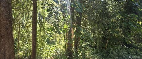 0 Highland Dr, Montesano, WA, 98563 | Card Image