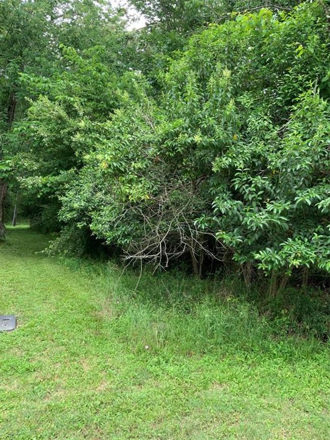 10 Idlewilde Est, Home with 0 bedrooms, 0 bathrooms and null parking in Onalaska TX | Image 6