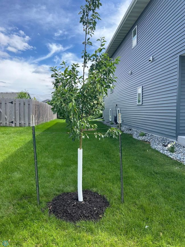 Landscaping | Image 49