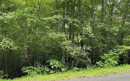 LOT 7 Bear Ln, Hiawassee, GA, 30546 | Card Image