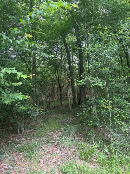 TBD Bilnoski Road, Willis, TX, 77378 | Card Image