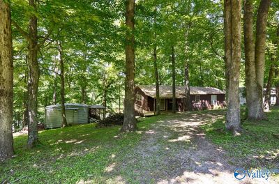 801 County Road 563, House other with 3 bedrooms, 2 bathrooms and null parking in Rogersville AL | Image 3