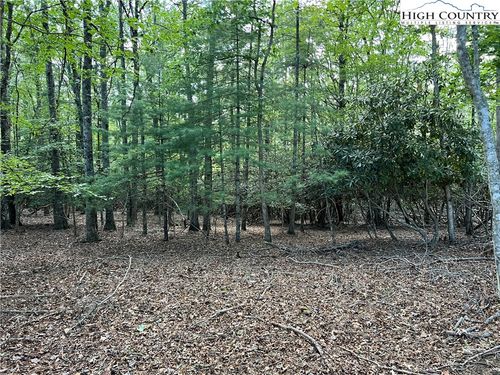 34 Fox Crest Overlook, Laurel Springs, NC, 28644 | Card Image
