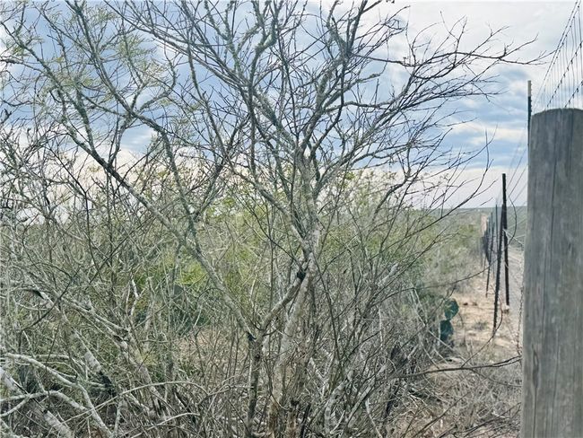 9156 Tx 339, Home with 0 bedrooms, 0 bathrooms and null parking in Freer TX | Image 28