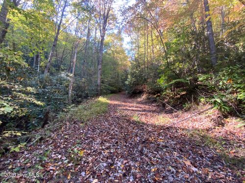 00 Lot 2&3 Union Hill Road, Topton, NC, 28781 | Card Image