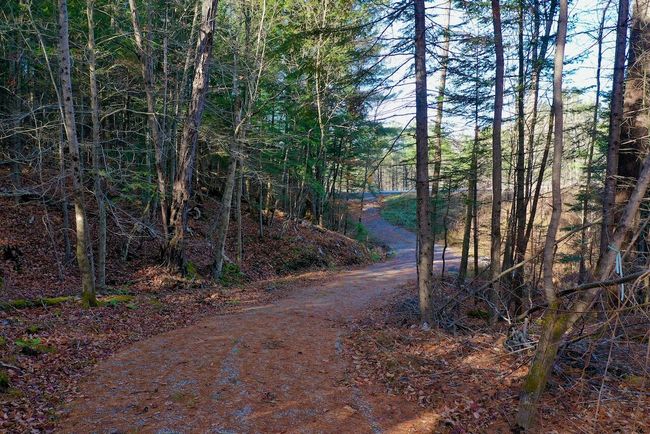 10281 Nys Route 9 N, Home with 0 bedrooms, 0 bathrooms and null parking in Keene NY | Image 11