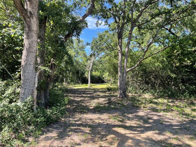 9264 Stetson Drive, Home with 0 bedrooms, 0 bathrooms and null parking in Hilltop Lakes TX | Image 6