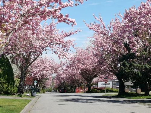 15759 101 Ave, Surrey, BC, V4N2S5 | Card Image
