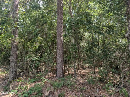 TBD Marian Dr, Bonifay, FL, 32425 | Card Image