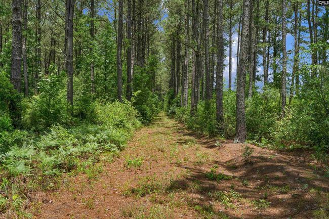 0000 N Brewington Rd, Home with 0 bedrooms, 0 bathrooms and null parking in Manning SC | Image 48