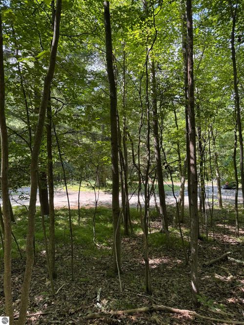 TBD Rivers Edge Dr, Mount Pleasant, MI, 48858 | Card Image