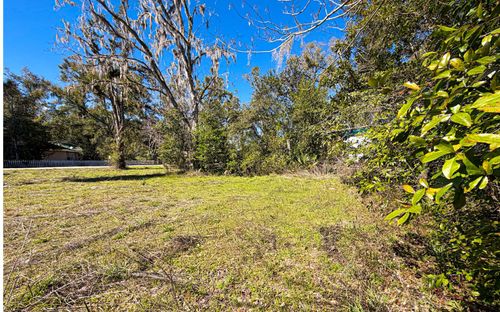 TBD Ne Pasco St, Mayo, FL, 32066 | Card Image