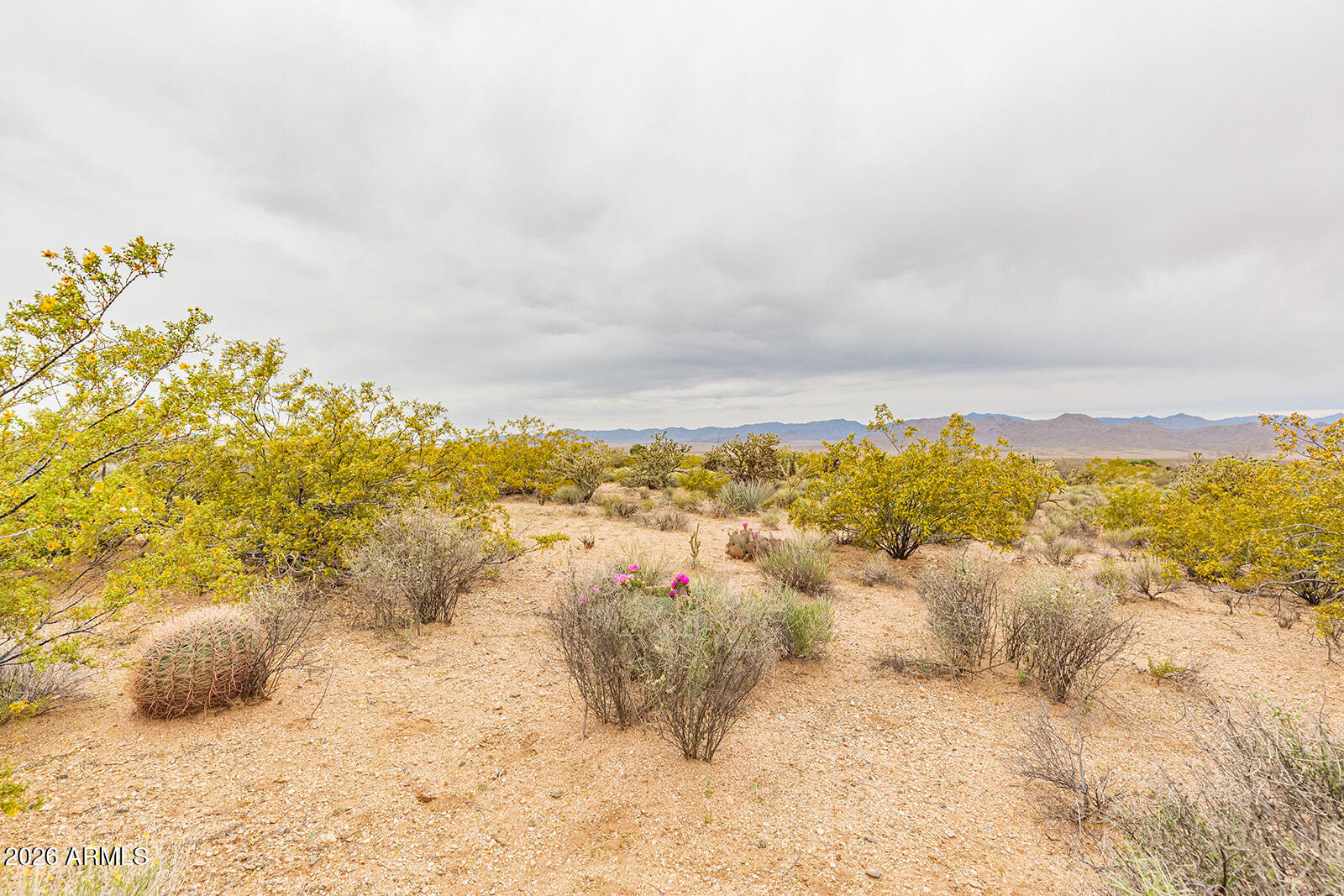 Land in Kingman 5