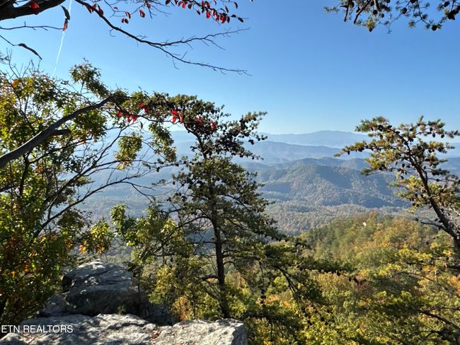 0 Mountain Ash Way, Home with 0 bedrooms, 0 bathrooms and null parking in Sevierville TN | Image 14