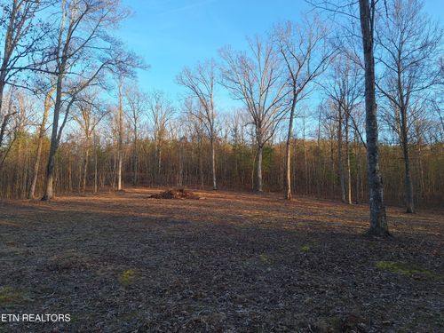 Lot 2 Mecca Pike, Tellico Plains, TN, 37385 | Card Image