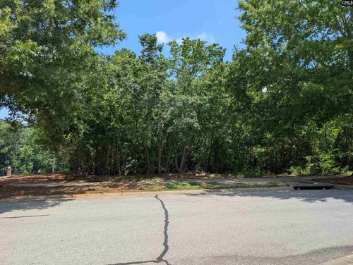 1060 Coogler Crossing Dr, Blythewood, SC, 29016-7623 | Card Image
