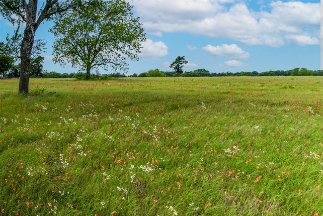20 S Union St, Home with 0 bedrooms, 0 bathrooms and null parking in Whitesboro TX | Image 7