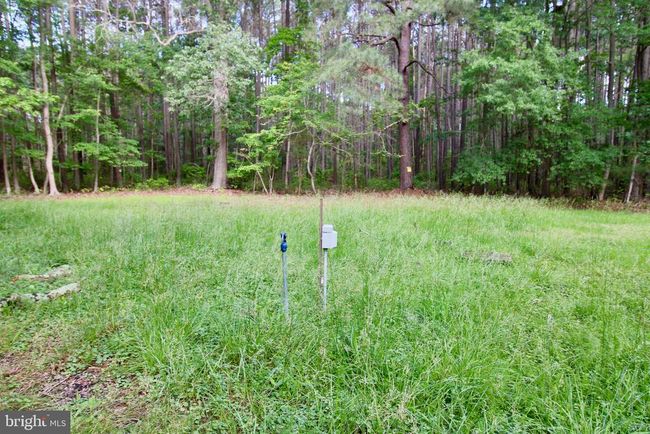 4340 Hoopers Neck Rd, House other with 3 bedrooms, 1 bathrooms and null parking in TAYLORS ISLAND MD | Image 6