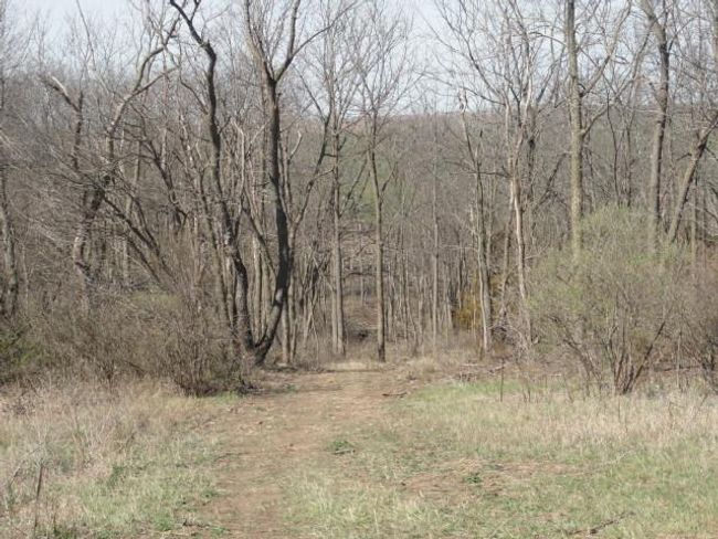 10.45 Acres Ringhand Rd, Home with 0 bedrooms, 0 bathrooms and null parking in SYLVESTER WI | Image 22