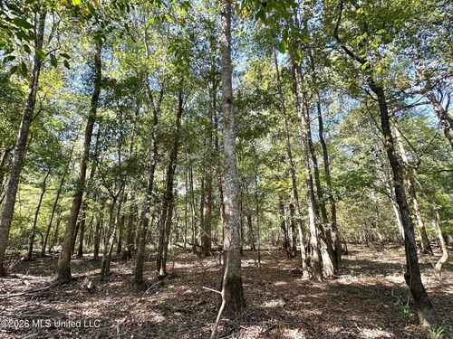 6 Evans Road, Carthage, MS, 39051 | Card Image