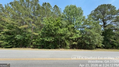 LOT 14 Us Highway 17, woodbine, GA, 31569 | Card Image