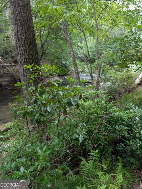 LOT 32 Byers Road, Blairsville, GA, 30512 | Card Image
