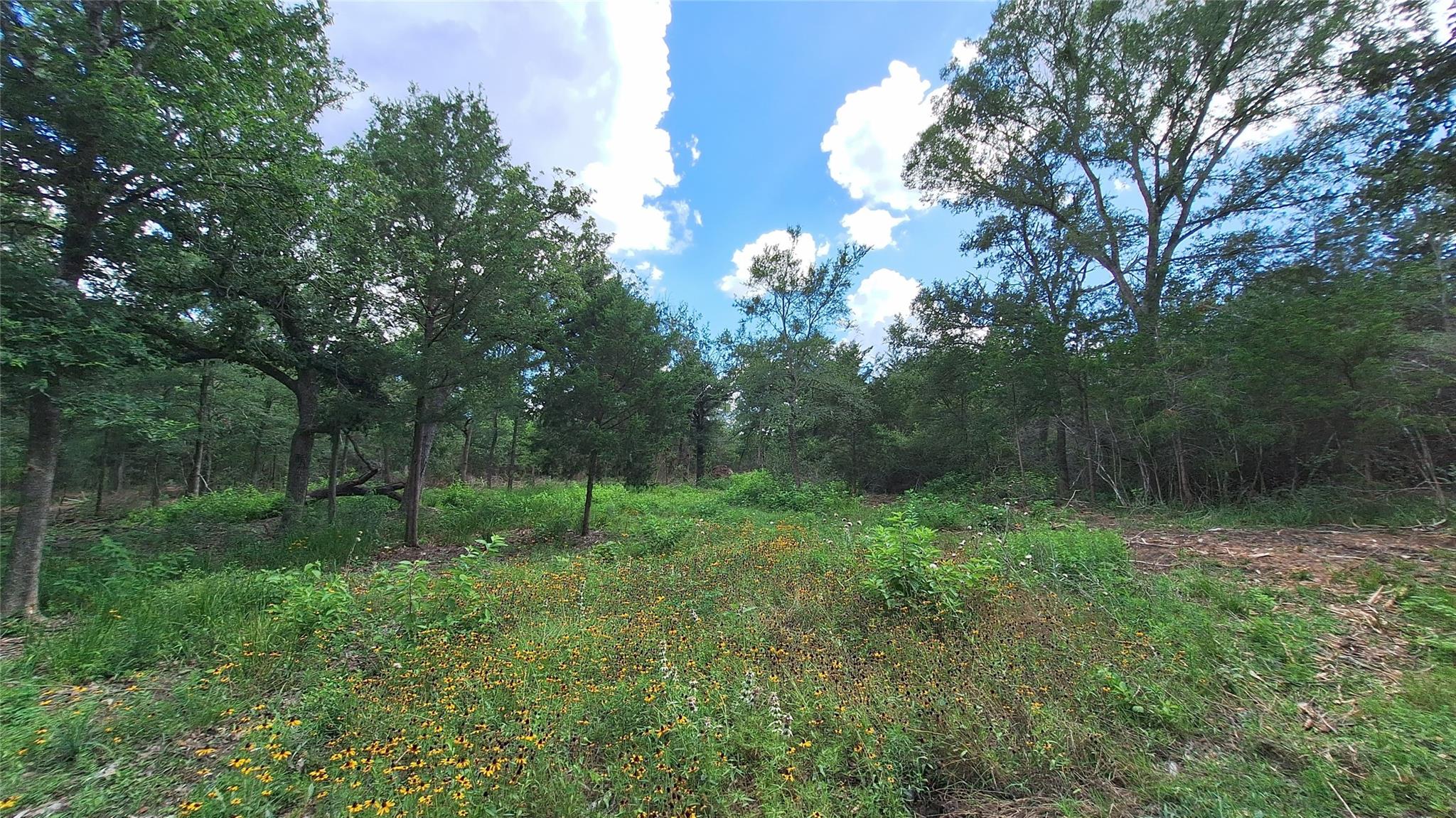Land in Caldwell 3