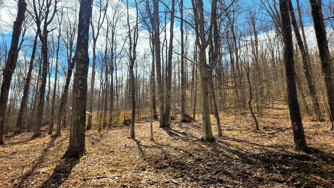TRACT-1-PIKE-LAKE-GETAWA - 0 Pike Lake Rd, Home with 0 bedrooms, 0 bathrooms and null parking in Bainbridge OH | Image 15