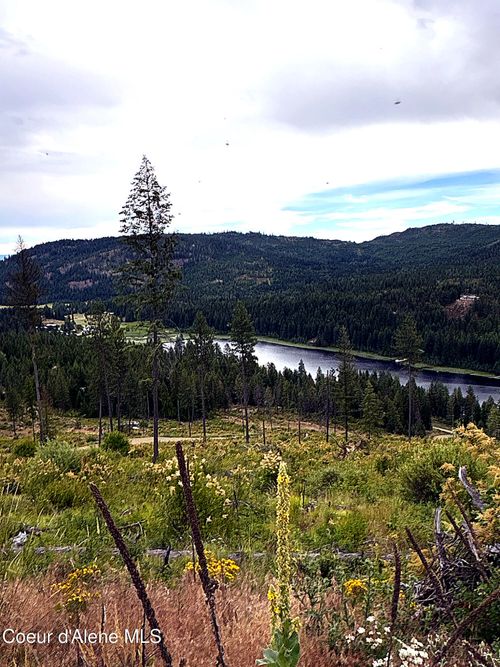 Lot 2 Dollar Creek, Sagle, ID, 83860 | Card Image