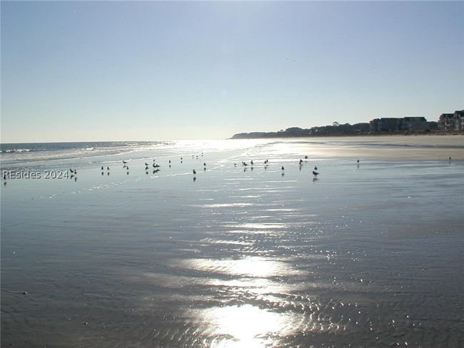 beach | Image 42