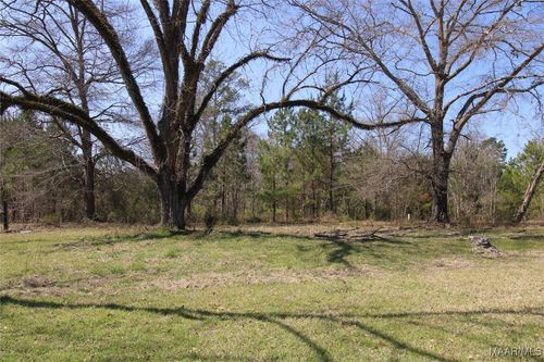 parcel-2-0 Toles Road, Grady, AL, 36036 | Card Image