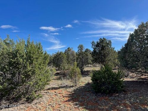361-2277 Sunrise Rd, Overgaard, AZ, 85933-9714 | Card Image