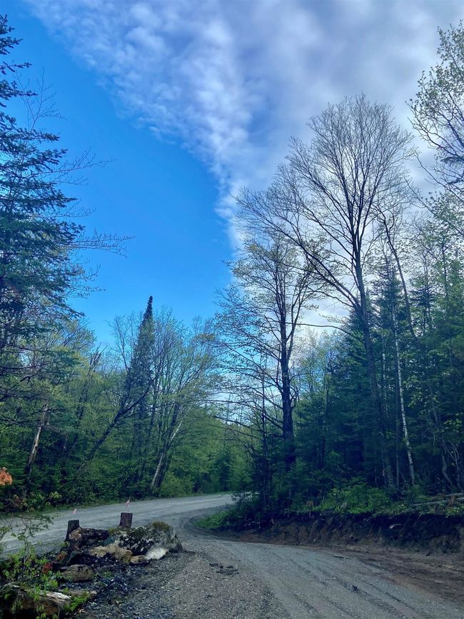1180 Abbott Hill Rd, Home with 0 bedrooms, 0 bathrooms and null parking in West Burke VT | Image 16