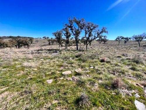 202 Tbd Westridge Way, Big Creek Ranch, Kingsland, TX, 78639 | Card Image