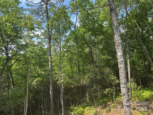135 Wildwood Way, House other with 3 bedrooms, 2 bathrooms and null parking in Lake Toxaway NC | Image 12