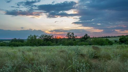 1-Lot 1 Slate Rock Rd, Willow City, TX, 78675-2014 | Card Image