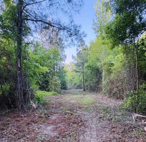 0 Darron Hodge Ln, Poplarville, MS, 39470 | Card Image