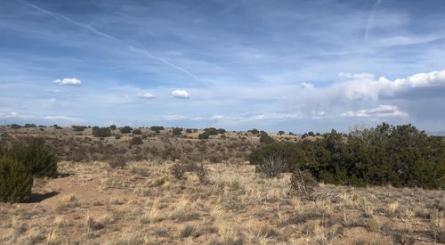 64 Kiwi Ct, Rio Rancho, NM, 87144 | Card Image