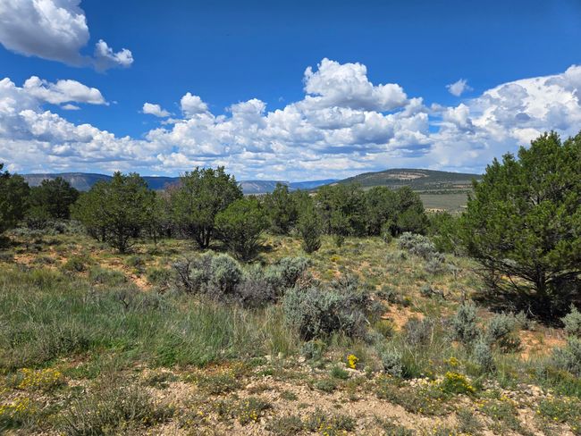 Unit 10 Tract 243 El Vado Lake Subd., Home with 0 bedrooms, 0 bathrooms and null parking in Tierra Amarilla NM | Image 9
